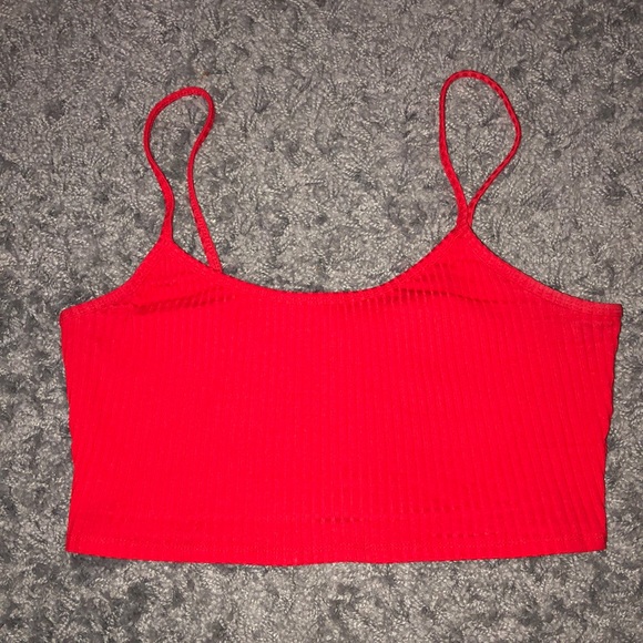 Ribbed Aritzia Crop Top - XS